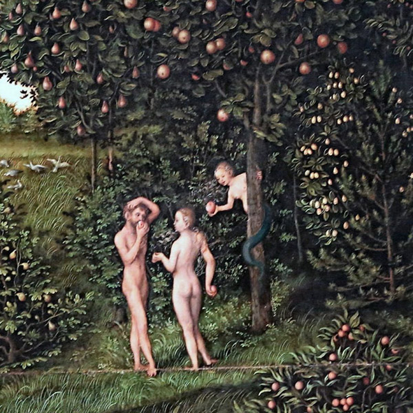 GOGMDPC Arbre de la connaissance